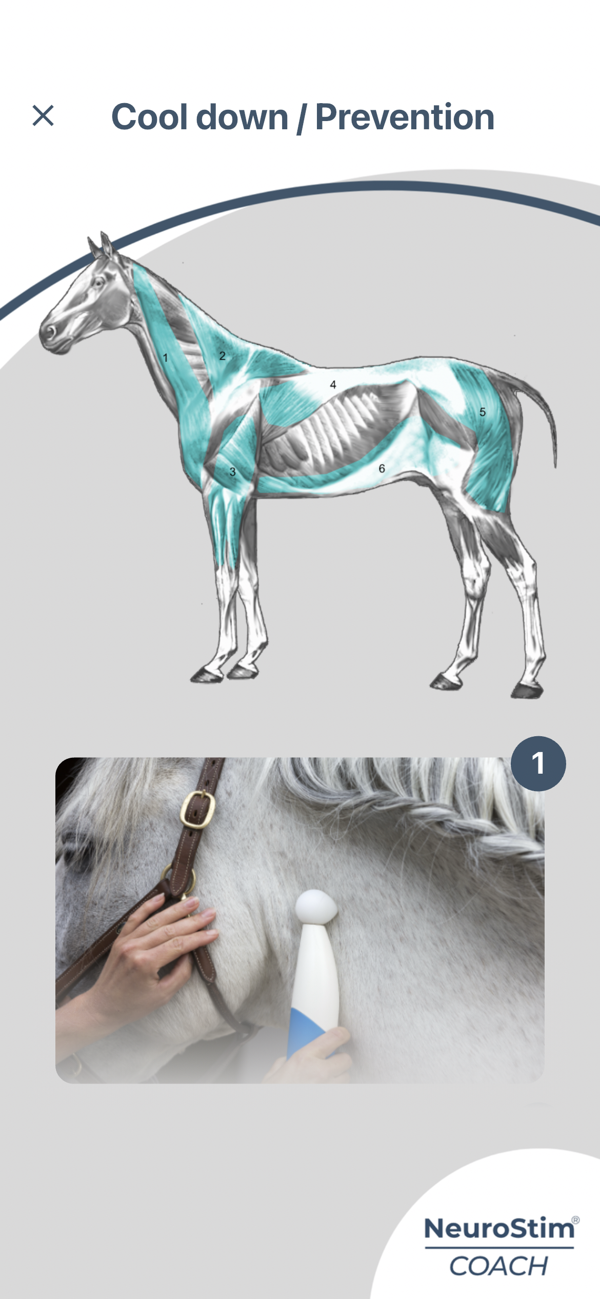 App Screenshot 3